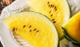 红料吃瓜网,揭秘娱乐圈幕后故事，带你领略明星真实生活